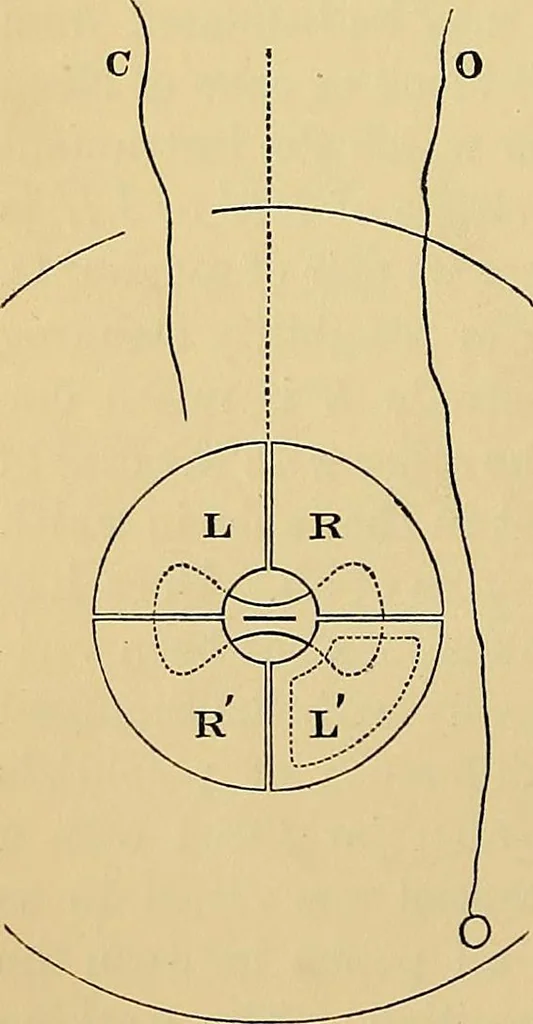 An illustration from Reprint of papers on electrostatics and magnetism, 1872, leaf 301