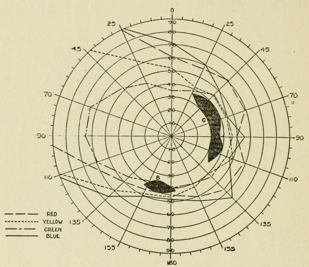 An illustration from Reprints of articles on perimetry, 1917, leaf 10