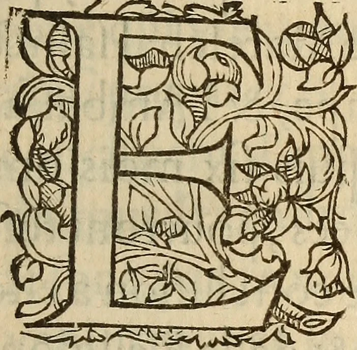 An illustration from Reqveste presentee av Roy et a la Royne par le trivmvirat. : Auec la response saicte par monseigneur le prince de Conde, 1562, leaf 12