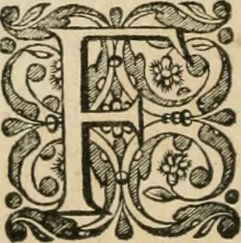 An illustration from Rerum ad sylvam-dvcis atave alibi in Belgio aut Belgis anno [1629] gestarum historia, 1631, leaf 11