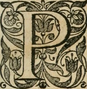 An illustration from Rerum ad sylvam-dvcis atave alibi in Belgio aut Belgis anno [1629] gestarum historia, 1631, leaf 172