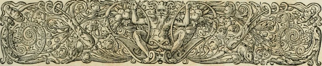 An illustration from Rerum ad sylvam-dvcis atave alibi in Belgio aut Belgis anno [1629] gestarum historia, 1631, leaf 26