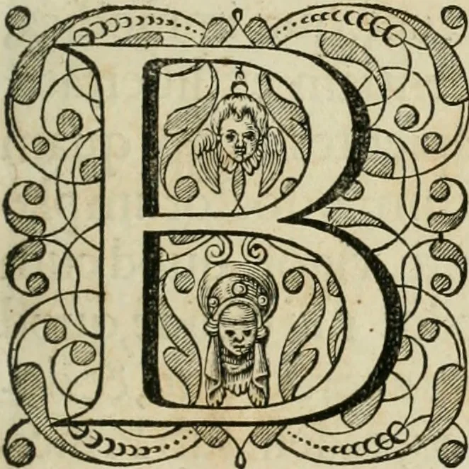 An illustration from Rerum ad sylvam-dvcis atave alibi in Belgio aut Belgis anno [1629] gestarum historia, 1631, leaf 26