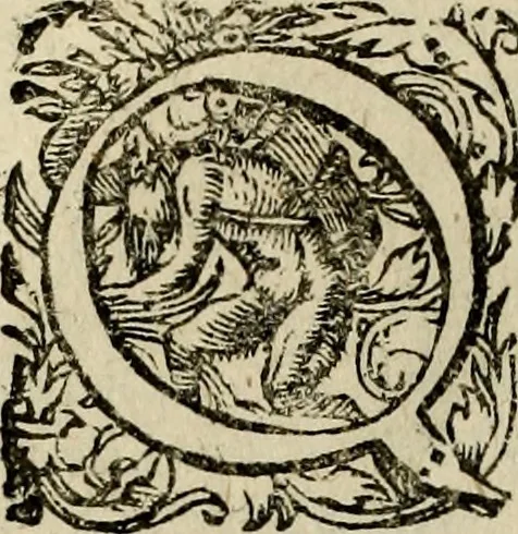 An illustration from Rerum Alamannicarum scriptores aliquot vetusti : à quibus Alamannorum qui nunc partim Suevis, partim Helvetiis cessere, historiae tam saeculares, quam ecclesiasticae traditae sunt : tribus tomis divisi, cum glossis rerum et verborum difficiliorum, ex bibliotheca Melchioris Haiminsfeldii Goldasti. Cum indice rerum & verborum accuratissimo, 1661, leaf 1043