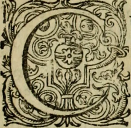 An illustration from Rerum Alamannicarum scriptores aliquot vetusti : à quibus Alamannorum qui nunc partim Suevis, partim Helvetiis cessere, historiae tam saeculares, quam ecclesiasticae traditae sunt : tribus tomis divisi, cum glossis rerum et verborum difficiliorum, ex bibliotheca Melchioris Haiminsfeldii Goldasti. Cum indice rerum & verborum accuratissimo, 1661, leaf 1044