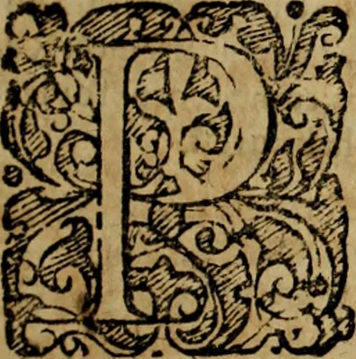 An illustration from Rerum Alamannicarum scriptores aliquot vetusti : à quibus Alamannorum qui nunc partim Suevis, partim Helvetiis cessere, historiae tam saeculares, quam ecclesiasticae traditae sunt : tribus tomis divisi, cum glossis rerum et verborum difficiliorum, ex bibliotheca Melchioris Haiminsfeldii Goldasti. Cum indice rerum & verborum accuratissimo, 1661, leaf 24