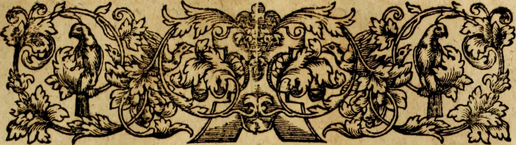 An illustration from Rerum Alamannicarum scriptores aliquot vetusti : à quibus Alamannorum qui nunc partim Suevis, partim Helvetiis cessere, historiae tam saeculares, quam ecclesiasticae traditae sunt : tribus tomis divisi, cum glossis rerum et verborum difficiliorum, ex bibliotheca Melchioris Haiminsfeldii Goldasti. Cum indice rerum & verborum accuratissimo, 1661, leaf 282