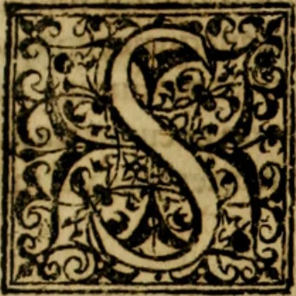 An illustration from Rerum Alamannicarum scriptores aliquot vetusti : à quibus Alamannorum qui nunc partim Suevis, partim Helvetiis cessere, historiae tam saeculares, quam ecclesiasticae traditae sunt : tribus tomis divisi, cum glossis rerum et verborum difficiliorum, ex bibliotheca Melchioris Haiminsfeldii Goldasti. Cum indice rerum & verborum accuratissimo, 1661, leaf 294