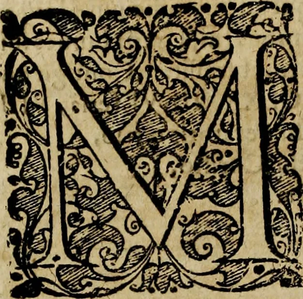 An illustration from Rerum Alamannicarum scriptores aliquot vetusti : à quibus Alamannorum qui nunc partim Suevis, partim Helvetiis cessere, historiae tam saeculares, quam ecclesiasticae traditae sunt : tribus tomis divisi, cum glossis rerum et verborum difficiliorum, ex bibliotheca Melchioris Haiminsfeldii Goldasti. Cum indice rerum & verborum accuratissimo, 1661, leaf 35