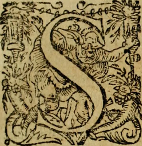 An illustration from Rerum Alamannicarum scriptores aliquot vetusti : à quibus Alamannorum qui nunc partim Suevis, partim Helvetiis cessere, historiae tam saeculares, quam ecclesiasticae traditae sunt : tribus tomis divisi, cum glossis rerum et verborum difficiliorum, ex bibliotheca Melchioris Haiminsfeldii Goldasti. Cum indice rerum & verborum accuratissimo, 1661, leaf 506