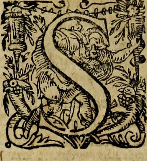 An illustration from Rerum Alamannicarum scriptores aliquot vetusti : à quibus Alamannorum qui nunc partim Suevis, partim Helvetiis cessere, historiae tam saeculares, quam ecclesiasticae traditae sunt : tribus tomis divisi, cum glossis rerum et verborum difficiliorum, ex bibliotheca Melchioris Haiminsfeldii Goldasti. Cum indice rerum & verborum accuratissimo, 1661, leaf 627