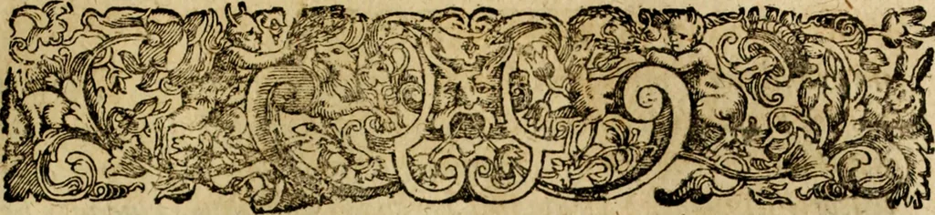 An illustration from Rerum Alamannicarum scriptores aliquot vetusti : à quibus Alamannorum qui nunc partim Suevis, partim Helvetiis cessere, historiae tam saeculares, quam ecclesiasticae traditae sunt : tribus tomis divisi, cum glossis rerum et verborum difficiliorum, ex bibliotheca Melchioris Haiminsfeldii Goldasti. Cum indice rerum & verborum accuratissimo, 1661, leaf 654