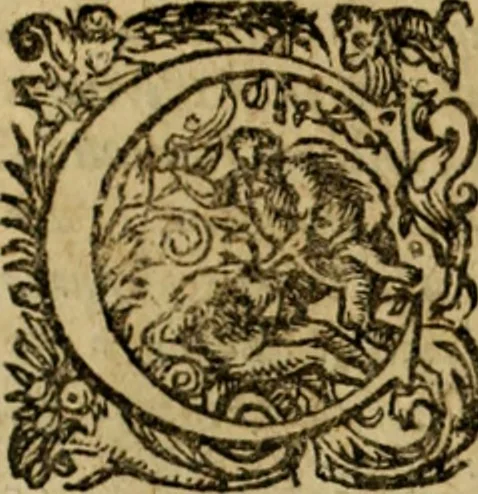 An illustration from Rerum Alamannicarum scriptores aliquot vetusti : à quibus Alamannorum qui nunc partim Suevis, partim Helvetiis cessere, historiae tam saeculares, quam ecclesiasticae traditae sunt : tribus tomis divisi, cum glossis rerum et verborum difficiliorum, ex bibliotheca Melchioris Haiminsfeldii Goldasti. Cum indice rerum & verborum accuratissimo, 1661, leaf 666