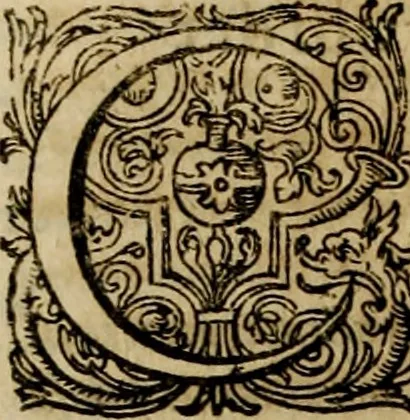 An illustration from Rerum Alamannicarum scriptores aliquot vetusti : à quibus Alamannorum qui nunc partim Suevis, partim Helvetiis cessere, historiae tam saeculares, quam ecclesiasticae traditae sunt : tribus tomis divisi, cum glossis rerum et verborum difficiliorum, ex bibliotheca Melchioris Haiminsfeldii Goldasti. Cum indice rerum & verborum accuratissimo, 1661, leaf 669