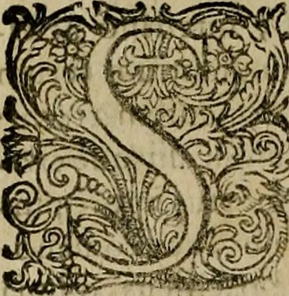 An illustration from Rerum Alamannicarum scriptores aliquot vetusti : à quibus Alamannorum qui nunc partim Suevis, partim Helvetiis cessere, historiae tam saeculares, quam ecclesiasticae traditae sunt : tribus tomis divisi, cum glossis rerum et verborum difficiliorum, ex bibliotheca Melchioris Haiminsfeldii Goldasti. Cum indice rerum & verborum accuratissimo, 1661, leaf 715