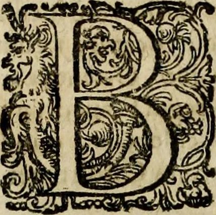 An illustration from Rerum Alamannicarum scriptores aliquot vetusti : à quibus Alamannorum qui nunc partim Suevis, partim Helvetiis cessere, historiae tam saeculares, quam ecclesiasticae traditae sunt : tribus tomis divisi, cum glossis rerum et verborum difficiliorum, ex bibliotheca Melchioris Haiminsfeldii Goldasti. Cum indice rerum & verborum accuratissimo, 1661, leaf 781