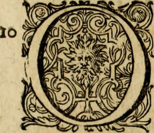 An illustration from Rerum Alamannicarum scriptores aliquot vetusti : à quibus Alamannorum qui nunc partim Suevis, partim Helvetiis cessere, historiae tam saeculares, quam ecclesiasticae traditae sunt : tribus tomis divisi, cum glossis rerum et verborum difficiliorum, ex bibliotheca Melchioris Haiminsfeldii Goldasti. Cum indice rerum & verborum accuratissimo, 1661, leaf 802