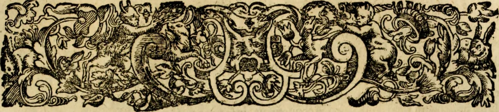 An illustration from Rerum Alamannicarum scriptores aliquot vetusti : à quibus Alamannorum qui nunc partim Suevis, partim Helvetiis cessere, historiae tam saeculares, quam ecclesiasticae traditae sunt : tribus tomis divisi, cum glossis rerum et verborum difficiliorum, ex bibliotheca Melchioris Haiminsfeldii Goldasti. Cum indice rerum & verborum accuratissimo, 1661, leaf 860
