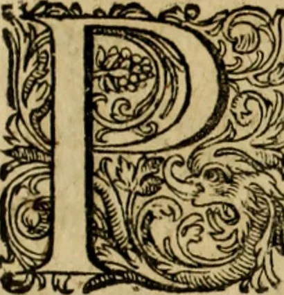 An illustration from Rerum Alamannicarum scriptores aliquot vetusti : à quibus Alamannorum qui nunc partim Suevis, partim Helvetiis cessere, historiae tam saeculares, quam ecclesiasticae traditae sunt : tribus tomis divisi, cum glossis rerum et verborum difficiliorum, ex bibliotheca Melchioris Haiminsfeldii Goldasti. Cum indice rerum & verborum accuratissimo, 1661, leaf 894