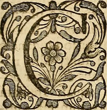 An illustration from [Rerum anglicarum scriptores veteres], 1684, leaf 412