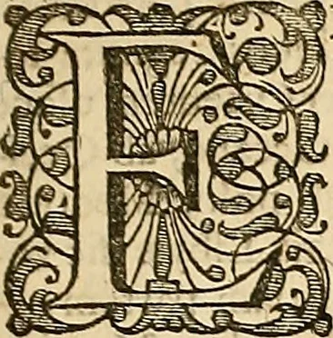 An illustration from [Rerum anglicarum scriptores veteres], 1684, leaf 592