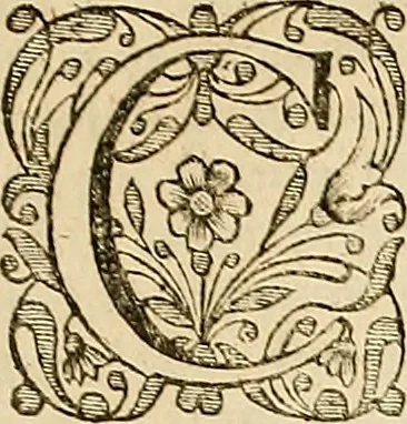 An illustration from [Rerum anglicarum scriptores veteres], 1684, leaf 728