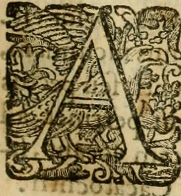 An illustration from Rerum medicarum Novae Hispaniae thesaurus, seu, Plantarum animalium mineralium Mexicanorum historia, 1651, leaf 1000