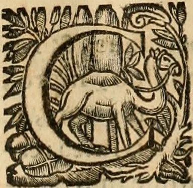An illustration from Rerum medicarum Novae Hispaniae thesaurus, seu, Plantarum animalium mineralium Mexicanorum historia, 1651, leaf 1057