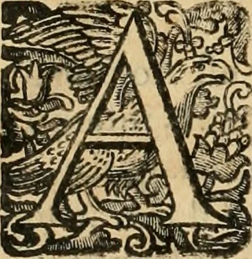 An illustration from Rerum medicarum Novae Hispaniae thesaurus, seu, Plantarum animalium mineralium Mexicanorum historia, 1651, leaf 1075