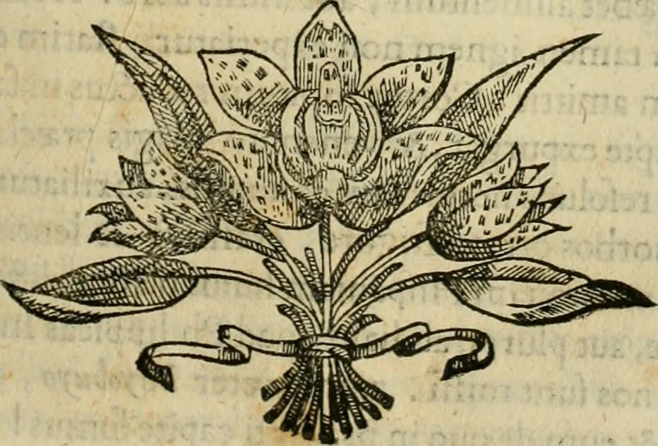 An illustration from Rerum medicarum Novae Hispaniae thesaurus, seu, Plantarum animalium mineralium Mexicanorum historia, 1651, leaf 166