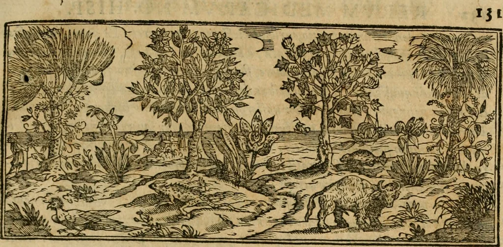 An illustration from Rerum medicarum Novae Hispaniae thesaurus, seu, Plantarum animalium mineralium Mexicanorum historia, 1651, leaf 172