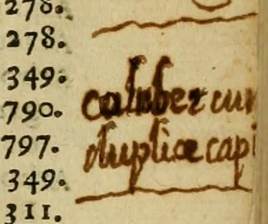 An illustration from Rerum medicarum Novae Hispaniae thesaurus, seu, Plantarum animalium mineralium Mexicanorum historia, 1651, leaf 18