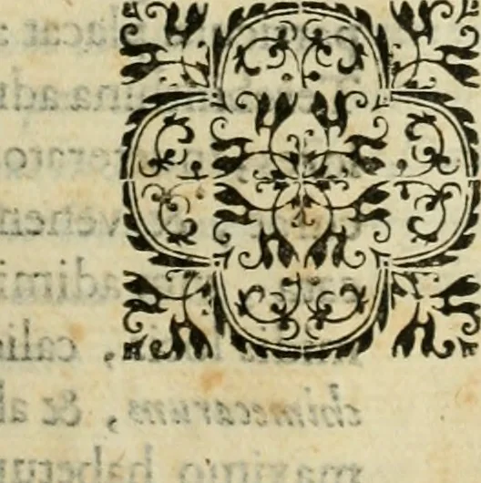An illustration from Rerum medicarum Novae Hispaniae thesaurus, seu, Plantarum animalium mineralium Mexicanorum historia, 1651, leaf 180