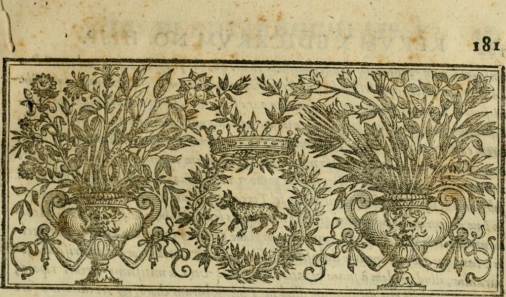 An illustration from Rerum medicarum Novae Hispaniae thesaurus, seu, Plantarum animalium mineralium Mexicanorum historia, 1651, leaf 224