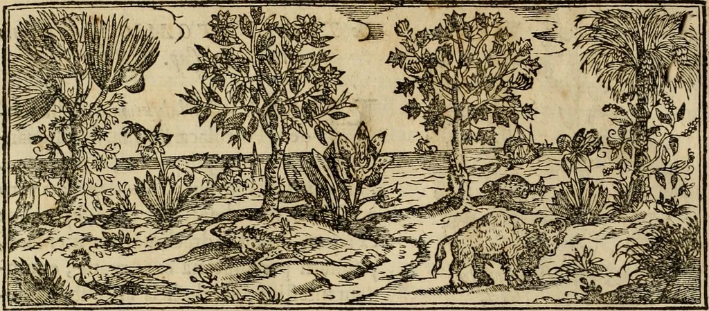 An illustration from Rerum medicarum Novae Hispaniae thesaurus, seu, Plantarum animalium mineralium Mexicanorum historia, 1651, leaf 265