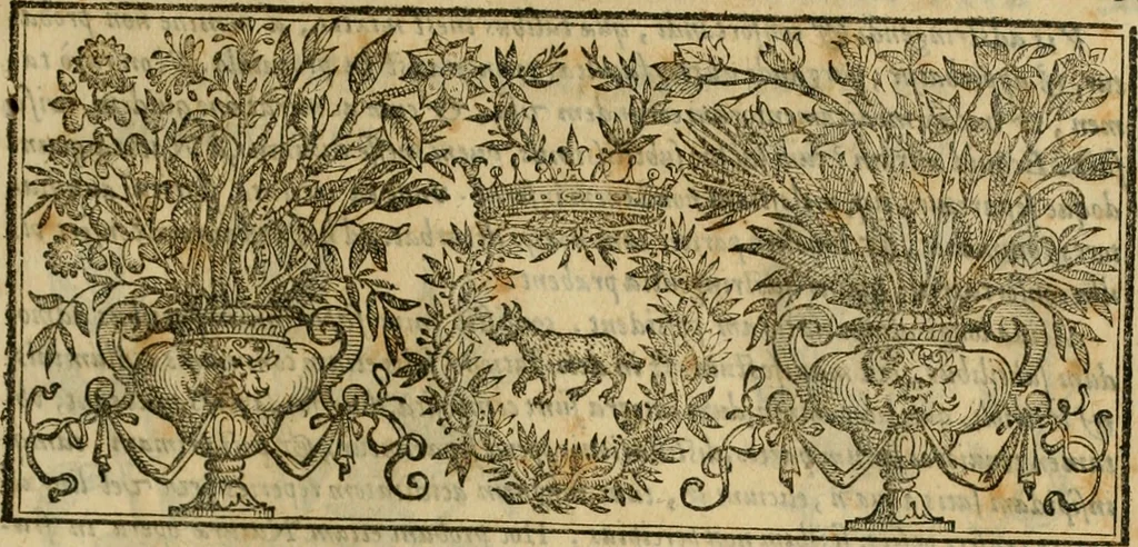 An illustration from Rerum medicarum Novae Hispaniae thesaurus, seu, Plantarum animalium mineralium Mexicanorum historia, 1651, leaf 304