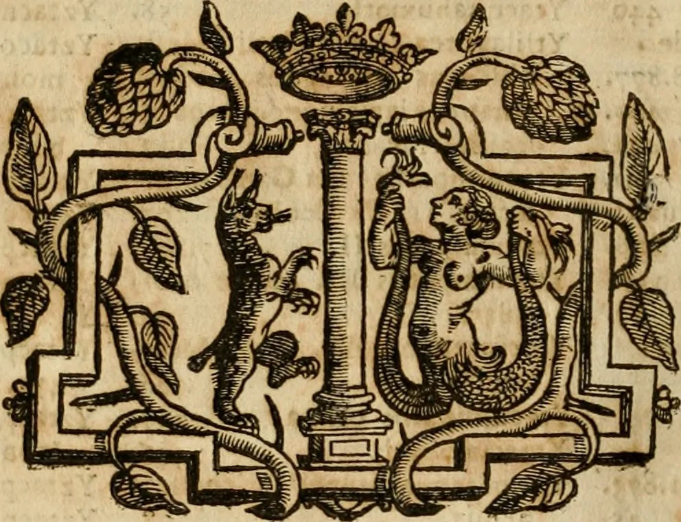An illustration from Rerum medicarum Novae Hispaniae thesaurus, seu, Plantarum animalium mineralium Mexicanorum historia, 1651, leaf 31
