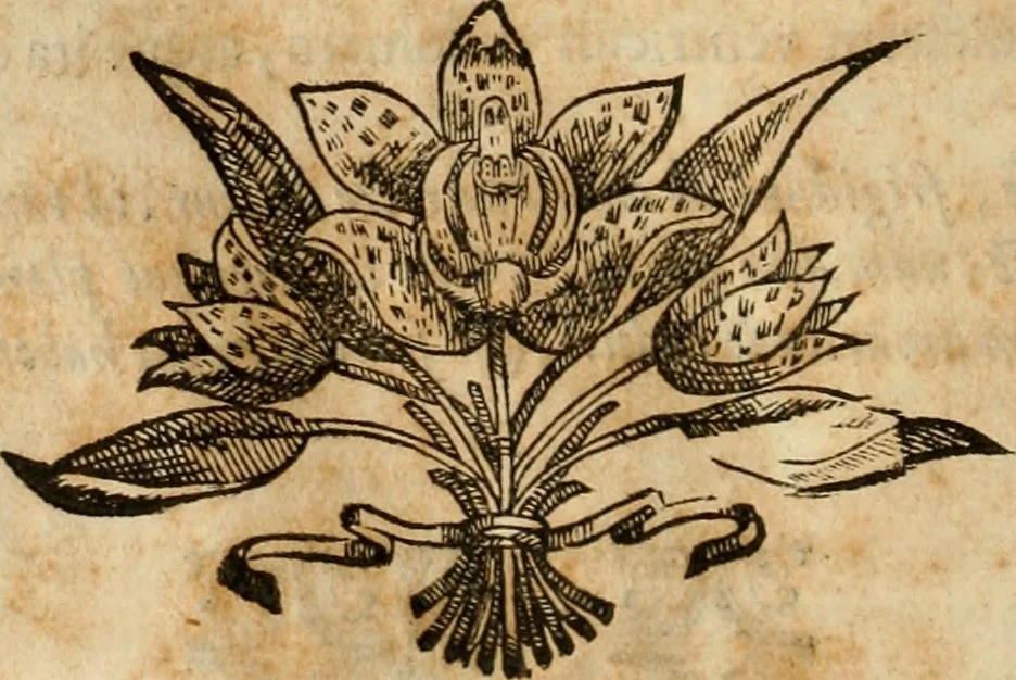 An illustration from Rerum medicarum Novae Hispaniae thesaurus, seu, Plantarum animalium mineralium Mexicanorum historia, 1651, leaf 343