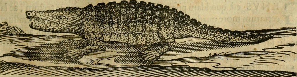 An illustration from Rerum medicarum Novae Hispaniae thesaurus, seu, Plantarum animalium mineralium Mexicanorum historia, 1651, leaf 362