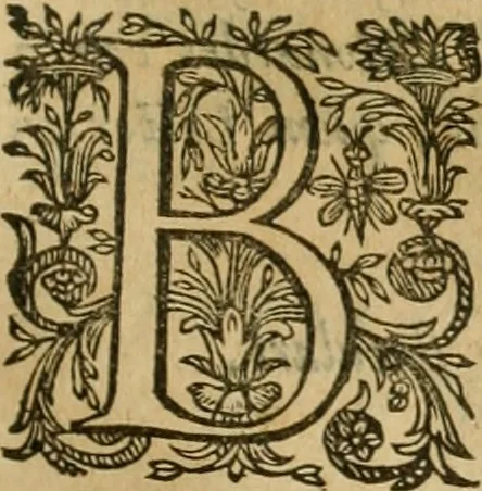 An illustration from Rerum medicarum Novae Hispaniae thesaurus, seu, Plantarum animalium mineralium Mexicanorum historia, 1651, leaf 382