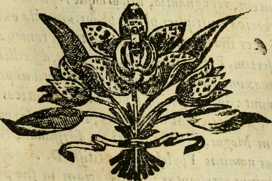 An illustration from Rerum medicarum Novae Hispaniae thesaurus, seu, Plantarum animalium mineralium Mexicanorum historia, 1651, leaf 506