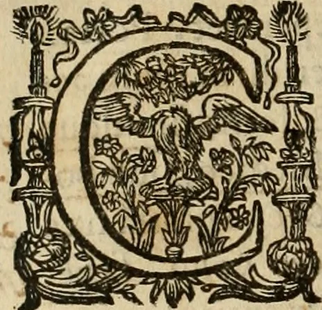 An illustration from Rerum medicarum Novae Hispaniae thesaurus, seu, Plantarum animalium mineralium Mexicanorum historia, 1651, leaf 545