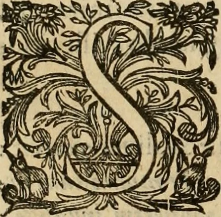 An illustration from Rerum medicarum Novae Hispaniae thesaurus, seu, Plantarum animalium mineralium Mexicanorum historia, 1651, leaf 559