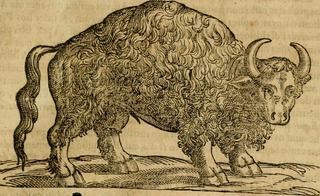 An illustration from Rerum medicarum Novae Hispaniae thesaurus, seu, Plantarum animalium mineralium Mexicanorum historia, 1651, leaf 634