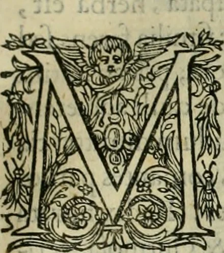 An illustration from Rerum medicarum Novae Hispaniae thesaurus, seu, Plantarum animalium mineralium Mexicanorum historia, 1651, leaf 64