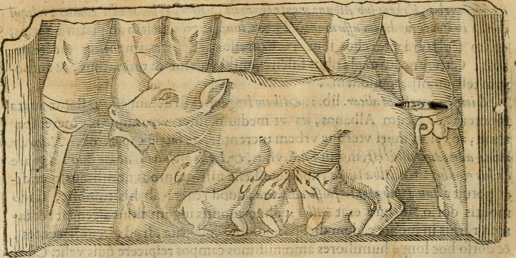An illustration from Rerum medicarum Novae Hispaniae thesaurus, seu, Plantarum animalium mineralium Mexicanorum historia, 1651, leaf 693