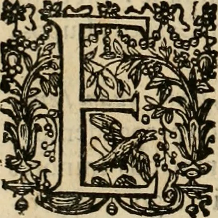 An illustration from Rerum medicarum Novae Hispaniae thesaurus, seu, Plantarum animalium mineralium Mexicanorum historia, 1651, leaf 707