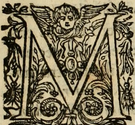 An illustration from Rerum medicarum Novae Hispaniae thesaurus, seu, Plantarum animalium mineralium Mexicanorum historia, 1651, leaf 733
