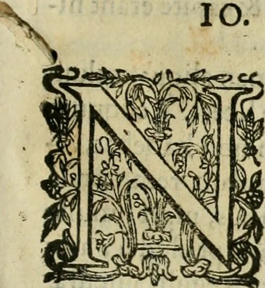 An illustration from Rerum medicarum Novae Hispaniae thesaurus, seu, Plantarum animalium mineralium Mexicanorum historia, 1651, leaf 744