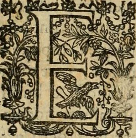 An illustration from Rerum medicarum Novae Hispaniae thesaurus, seu, Plantarum animalium mineralium Mexicanorum historia, 1651, leaf 791